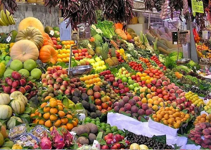 Castrum アパート *